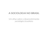 A sociologia no brasil(1)