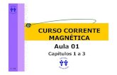 Curso Corrente Magnética - Editora Auta de Souza