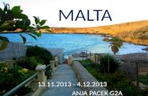 Europraksa na Malti (Anja Pacek)