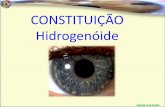 Clodoaldo Pacheco - Constituição hidrogenóide