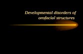 Developmental disorders of orofacial structures dental oral pathology