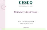 Datos mineria chilena cesco