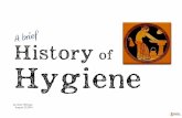 Hygiene history