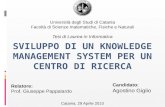 Sviluppo di un knowledge management system per un centro di ricerca
