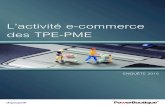 L'activité e-commerce des TPE-PME - Edition 2010