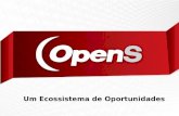 OpenS Tecnologia – Um modelo de negócios colaborativo