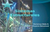 Sistemas estructurales 30.07