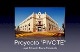 Proyecto pivote