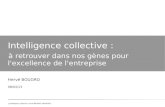 Intelligence Collective : à retrouvers dans nos gènes pour l'excellence de l'entreprise