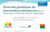 Diversité génétique de Plasmodium falciparum : facteur limitant pour la recherche de vaccin antipaludique