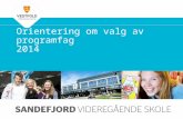 Orientering om programfag til valg 2014 Sandefjord vgs
