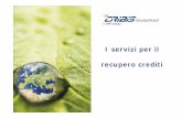 CRIBIS TELESERVICE: I servizi per il recupero crediti