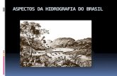 Aspectos da hidrografia do brasil