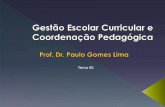 47666815 6-gestao-curricular-e-coordenacao-pedagogica-prof-dr-paulo-gomes-lima
