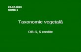 Taxonomie vegetala_C1-2013