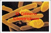 Clostridium botulinum.pptx