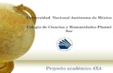 Proyecto académico 4X4 Universidad Nacional Autónoma de México Colegio de Ciencias y Humanidades Plantel Sur.