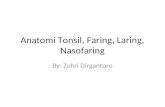 presentasi Anatomi Tonsil, Faring, Laring, Nasofaring