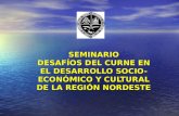 SEMINARIO DESAFÍOS DEL CURNE EN EL DESARROLLO SOCIO- ECONÓMICO Y CULTURAL DE LA REGIÓN NORDESTE.