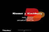 MDaemon y BlackBerry Pablo Potokski iSoftland pablop@isoftland.com Información confidencial de RIM.