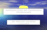 METABOLISMO DE HORMONAS ESTEROIDES Dr. Marcelo Osvaldo Lucentini.