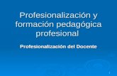 1 Profesionalización y formación pedagógica profesional Profesionalización del Docente.