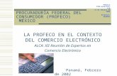 PROCURADURÍA FEDERAL DEL CONSUMIDOR (PROFECO) MÉXICO LA PROFECO EN EL CONTEXTO DEL COMERCIO ELECTRÓNICO ALCA: XII Reunión de Expertos en Comercio Electrónico.