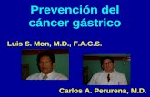 Prevención del cáncer gástrico Luis S. Mon, M.D., F.A.C.S. Carlos A. Perurena, M.D.