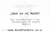Meri Snowdon ¿Qué es el MeSH? Una introducción a los Encabezados de Sujeto Médico .
