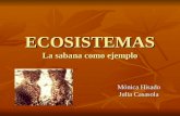 ECOSISTEMAS La sabana como ejemplo Mónica Hisado Julia Casasola.
