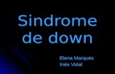 Sindrome de down Elena Marqués Elena Marqués Inés Vidal Inés Vidal.