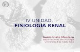 IV UNIDAD. FISIOLOGÍA RENAL Guido Ulate Montero Departamento de Fisiología Universidad de Costa Rica.
