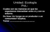 Unidad: Ecología PoL: Cuales son las maneras en que los organismos interactúan entre si y con su entorno. Do Now: Un hongo es un productor o un consumidor?