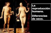 La reproducción humana. Diferencias de sexo.. La reproducción humana.  EZo .