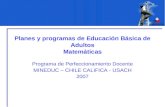Planes y programas de Educación Básica de Adultos Matemáticas Programa de Perfeccionamiento Docente MINEDUC – CHILE CALIFICA - USACH 2007.