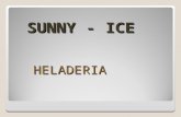 SUNNY - ICE HELADERIA MEMBRETE Calle Aranjuez 18 C.P :28912 España, Madrid Tel : 916501230 CIF: A55818501 Email :Sunny-ice@hotmail.com.