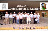 GGAVATT Ovinocultores El Capulín San José Iturbide.