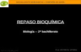 BACHILLERATO MARIANISTAS + COMPAÑÍA DE MARÍA Prof. VÍCTOR M. VITORIA REPASO DE BIOLOGÍA REPASO BIOQUÍMICA Biología – 2º bachillerato.