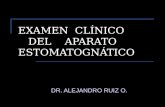 EXAMEN CLÍNICO DEL APARATO ESTOMATOGNÁTICO DR. ALEJANDRO RUIZ O.