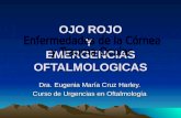 OJO ROJO Y EMERGENCIAS OFTALMOLOGICAS Dra. Eugenia María Cruz Harley. Curso de Urgencias en Oftalmología.