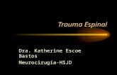 Trauma Espinal Dra. Katherine Escoe Bastos Neurocirugía-HSJD.