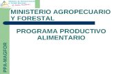 PROGRAMA PRODUCTIVO ALIMENTARIO MINISTERIO AGROPECUARIO Y FORESTAL PPA-MAGFOR.