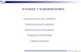 AYUDAS Y SUBVENCIONES Subvenciones de Cataluña Subvenciones Estatales Subvenciones Europeas Programa PROGEM Capital Génesis Grupo Eurosigma, S.L.