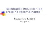 Resultados inducción de proteína recombinante Noviembre 4, 2009 Grupo 4.
