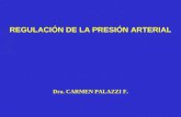 REGULACIÓN DE LA PRESIÓN ARTERIAL Dra. CARMEN PALAZZI F.