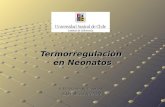 Termorregulación en Neonatos E.U Tatiana Victoriano R. E.U Patricia Triviño V.