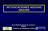 INTOXICACIONES AGUDAS GRAVES Cátedra de Medicina Crítica Prof. Abelardo García de Lorenzo y Mateos.