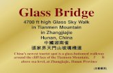Glass bridge