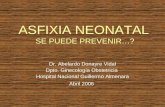 ASFIXIA NEONATAL SE PUEDE PREVENIR…? Dr. Abelardo Donayre Vidal Dpto. Ginecología Obstetricia Hospital Nacional Guillermo Almenara Abril 2006.