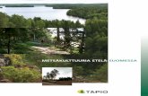 Metsäkulttuuria Etela-Suomessa